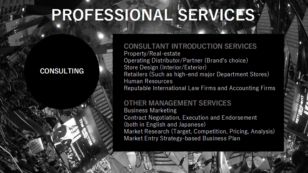PROFESSIONAL SERVICES